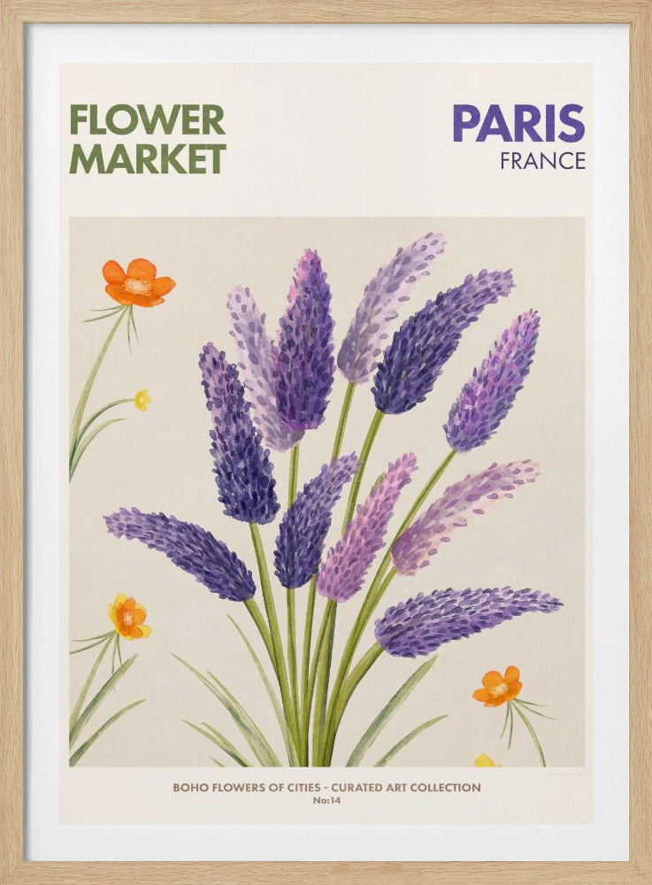 Lavendelblüten | Poster