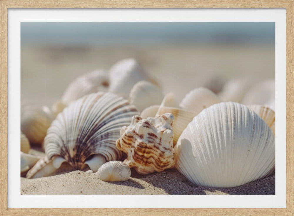Muscheln am Meer | Poster