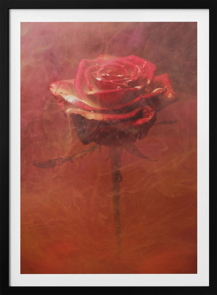 rote Rose und Tinte im Wasser | Poster