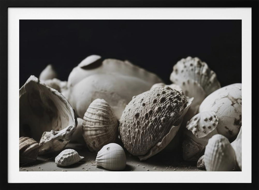 Muschelsymphonie | Poster