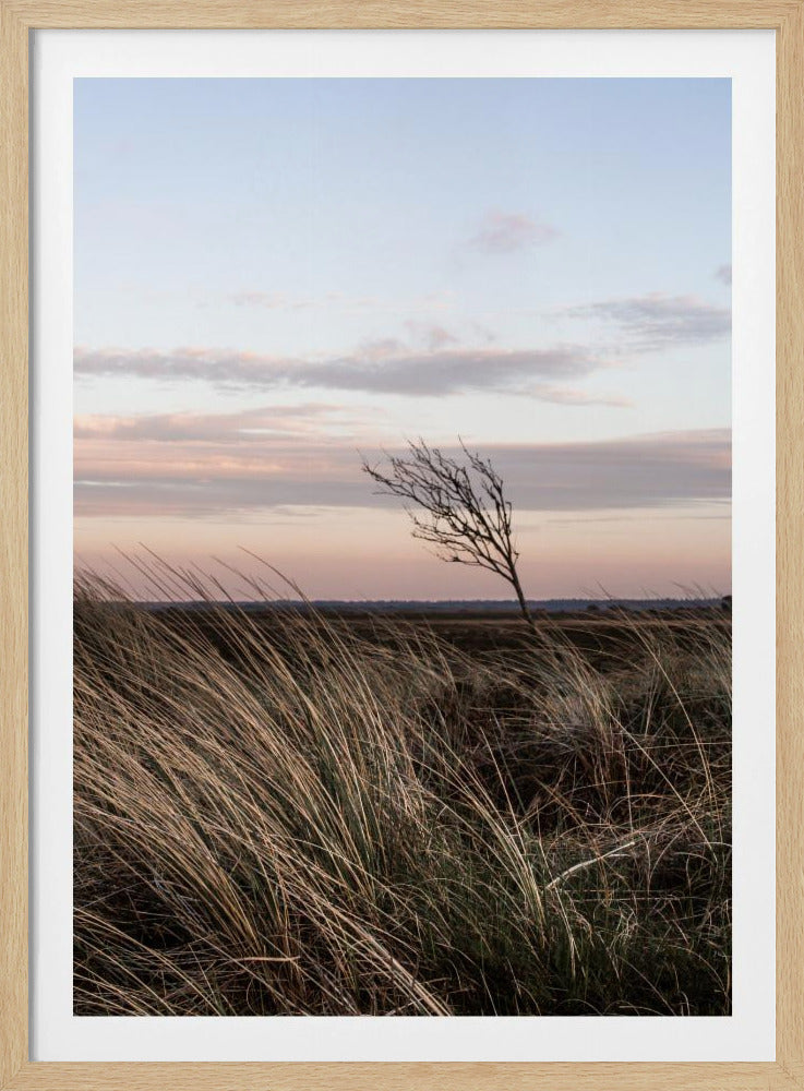 An der Küste 4 | Poster