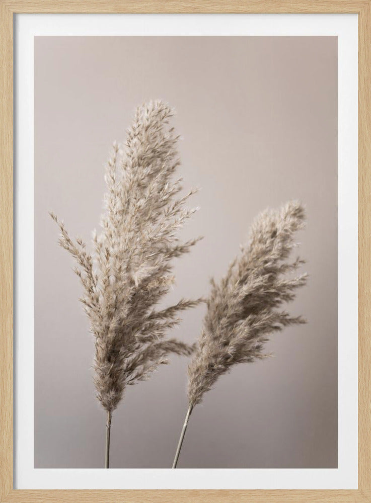 Grass 22X | Poster