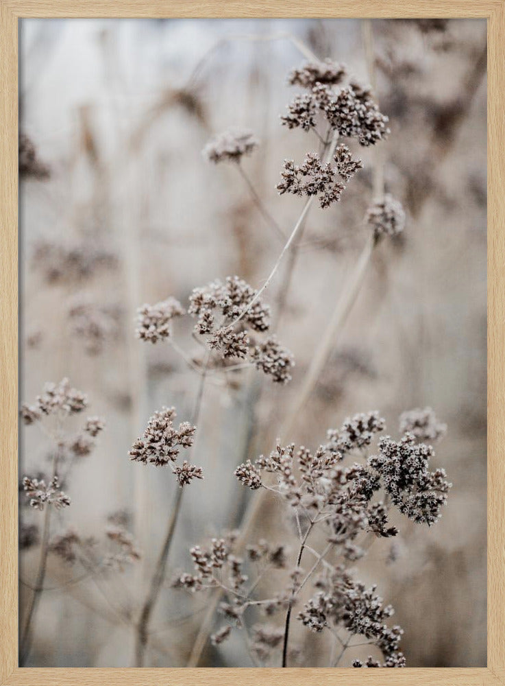 Unbekannt 8 | Poster