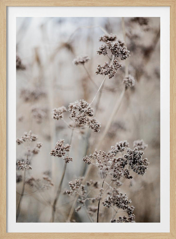 Unbekannt 8 | Poster