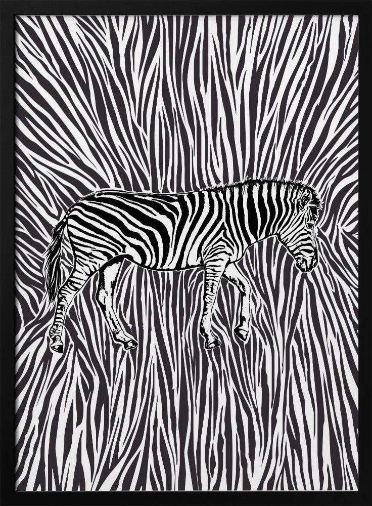African Zebra striking camouflage | Poster