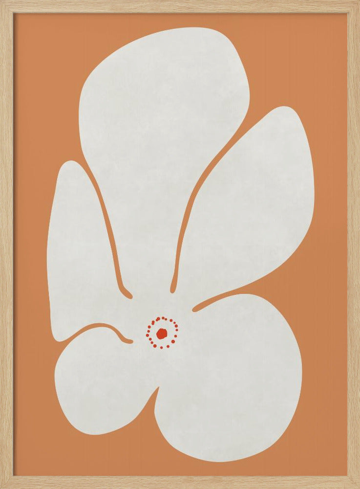 Weiße Mohnblumen Poster