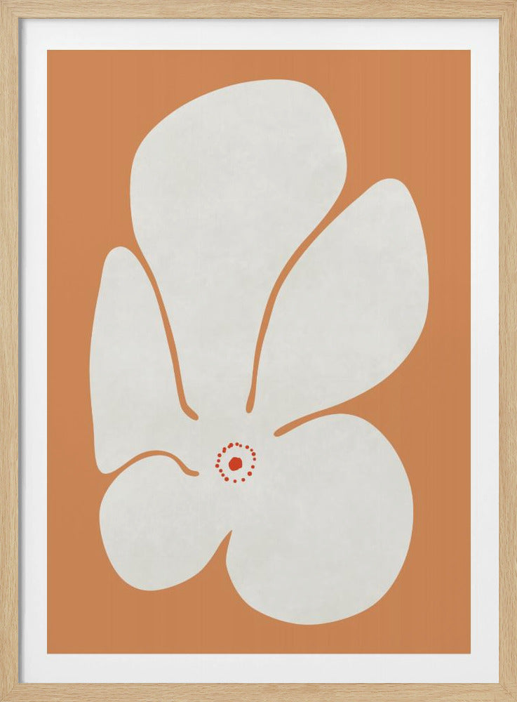 Weiße Mohnblumen Poster