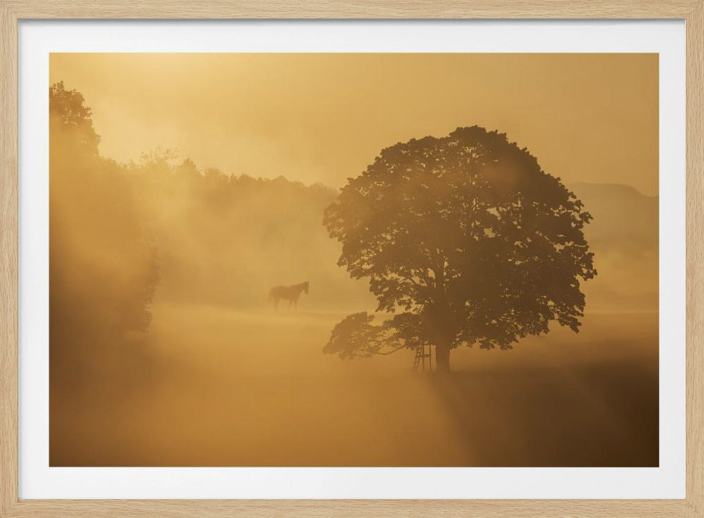 Herbstmorgen | Poster