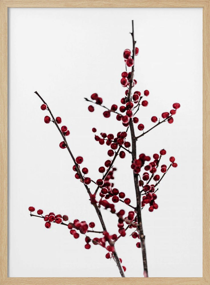 Rote Beeren 2 | Poster