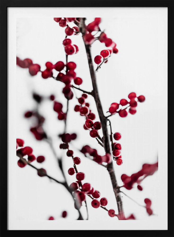Rote Beeren 1 | Poster