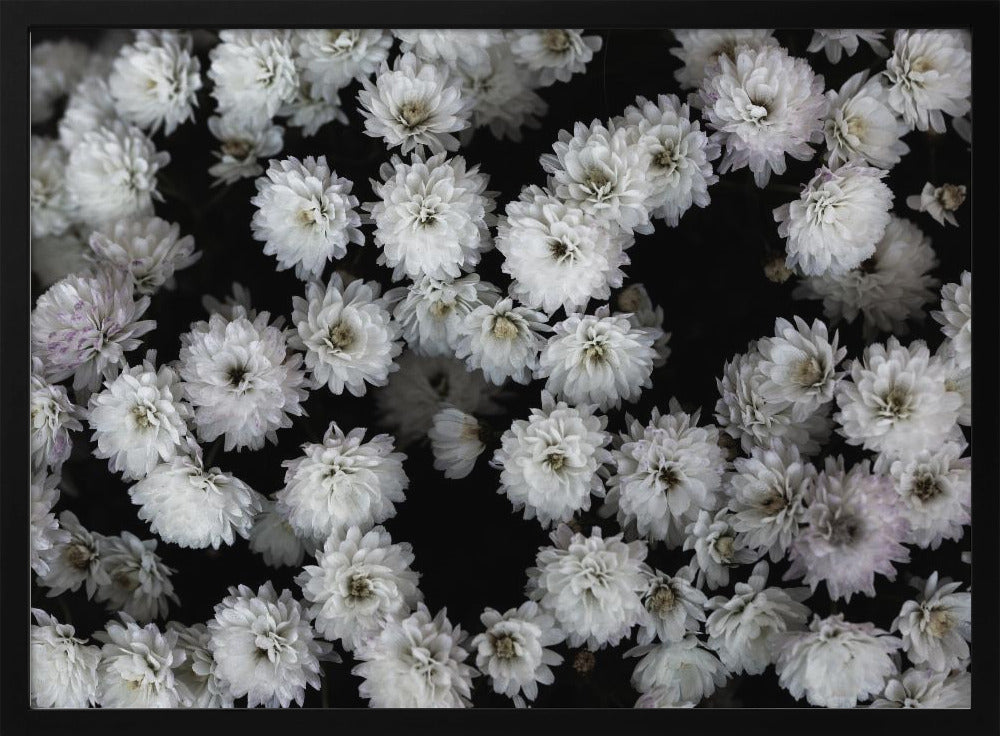 Winzige Blumen 3 | Poster