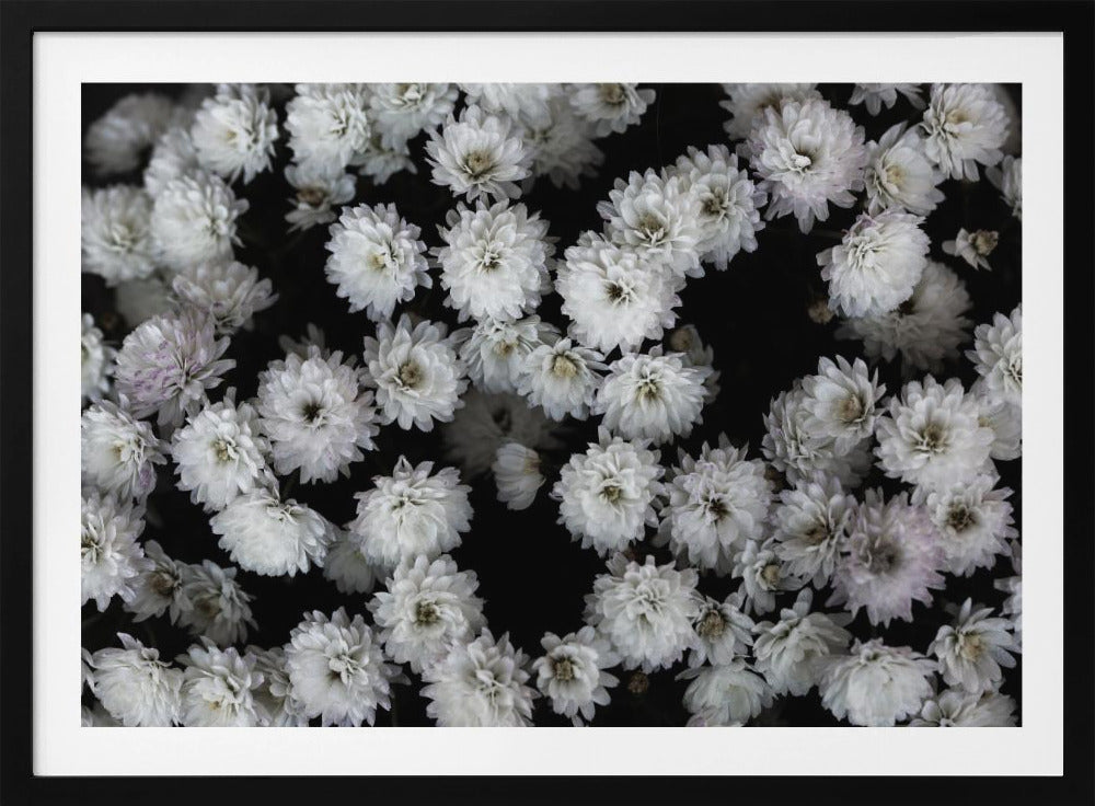 Winzige Blumen 3 | Poster