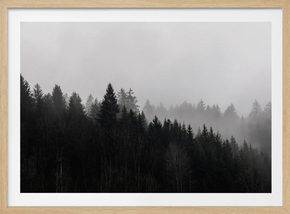 Foggy Woods 7 | Poster