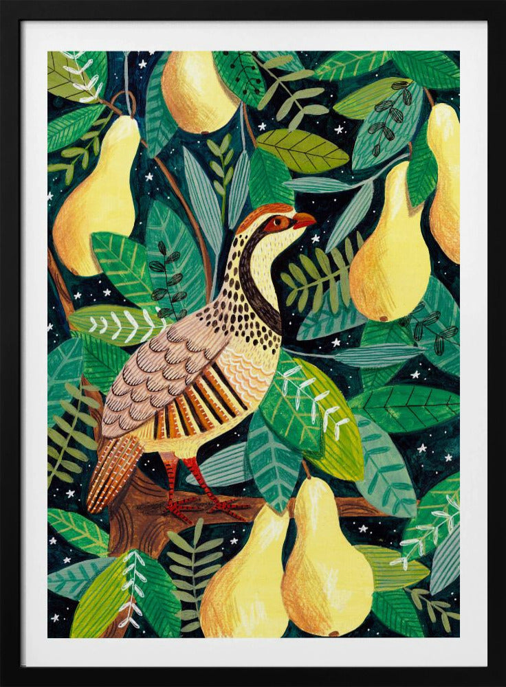 Rebhuhn im Birnbaum | Poster