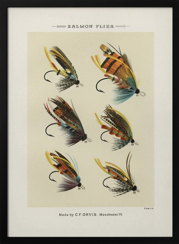 Salmon Fliee 1892 | Poster