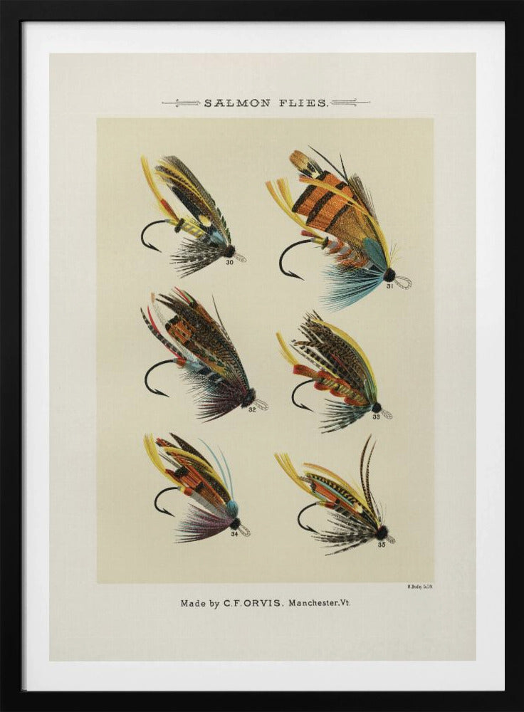 Salmon Fliee 1892 | Poster