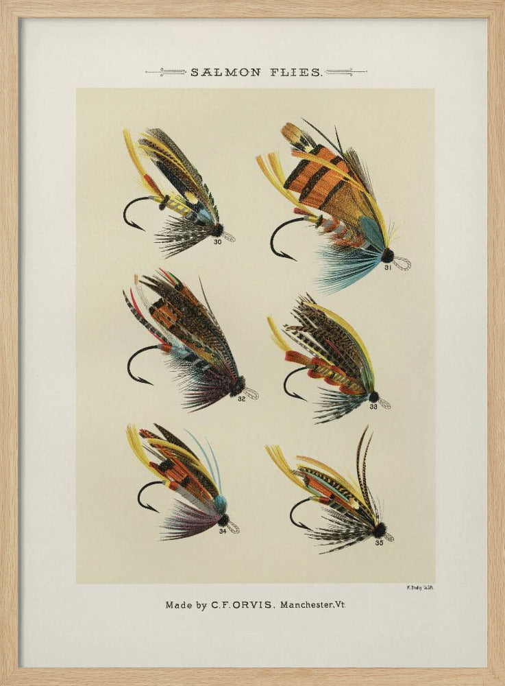 Salmon Fliee 1892 | Poster