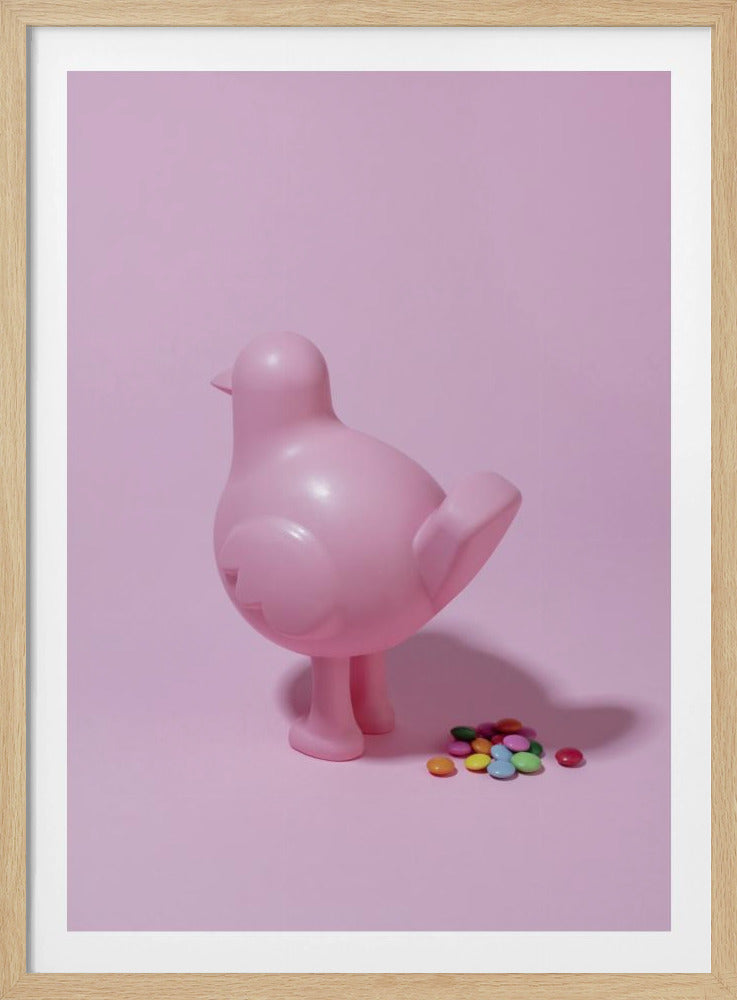 Vogelfreuden | Poster