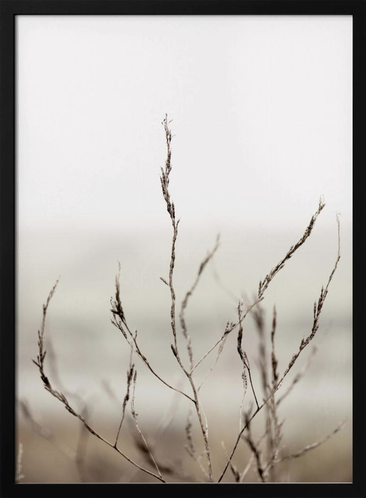 Pickleweed Nr. 1 | Poster