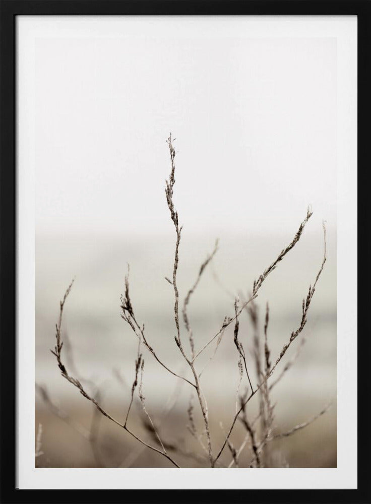 Pickleweed Nr. 1 | Poster