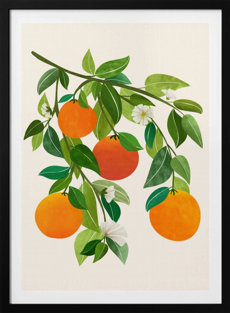 Orangen und Blüten II | Poster