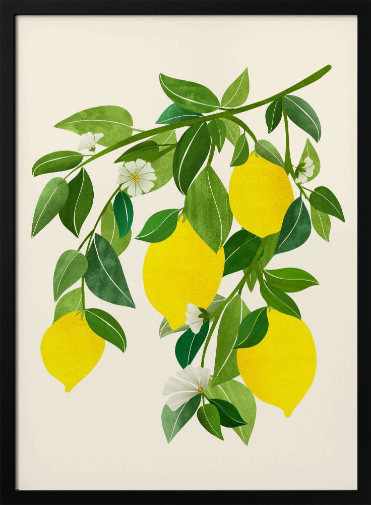 Sonnige Zitronen 4x5 | Poster
