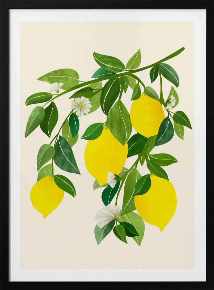 Sonnige Zitronen 4x5 | Poster
