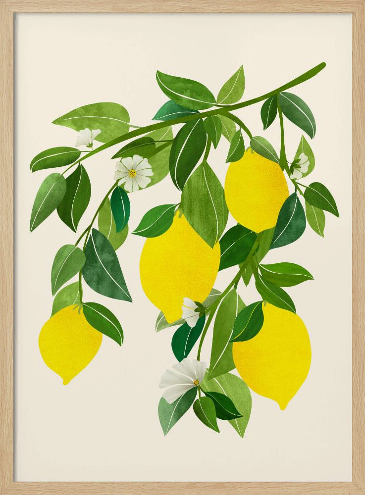 Sonnige Zitronen 4x5 | Poster