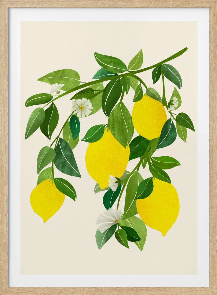 Sonnige Zitronen 4x5 | Poster