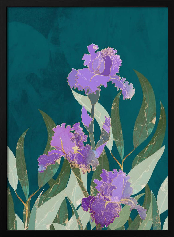 Irisblume Türkis | Poster