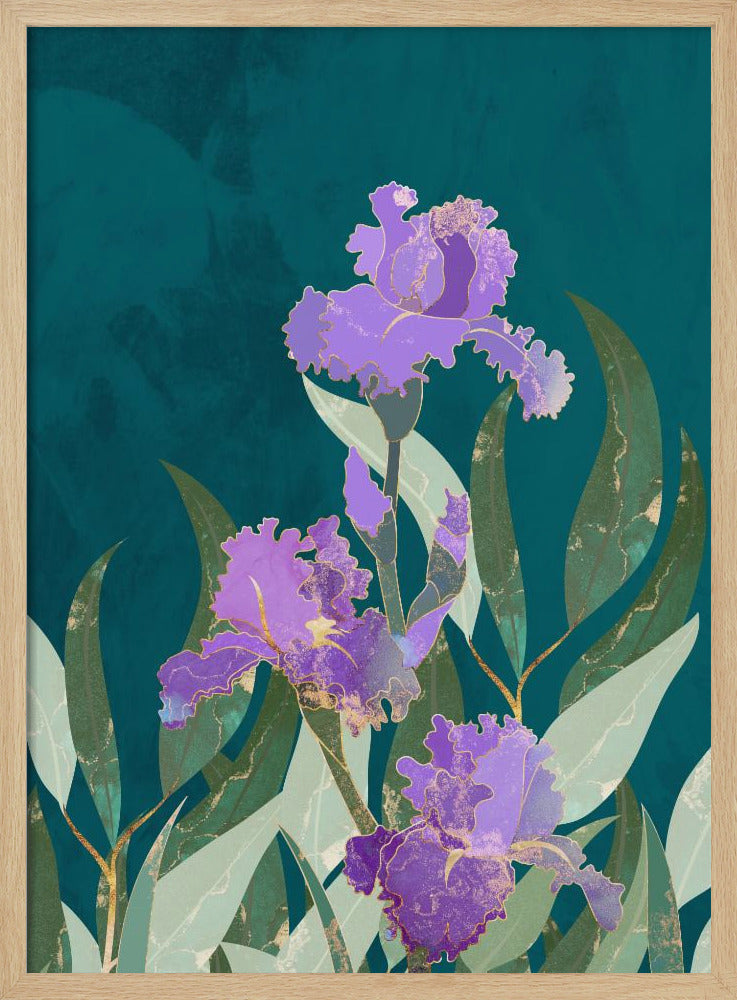 Irisblume Türkis | Poster