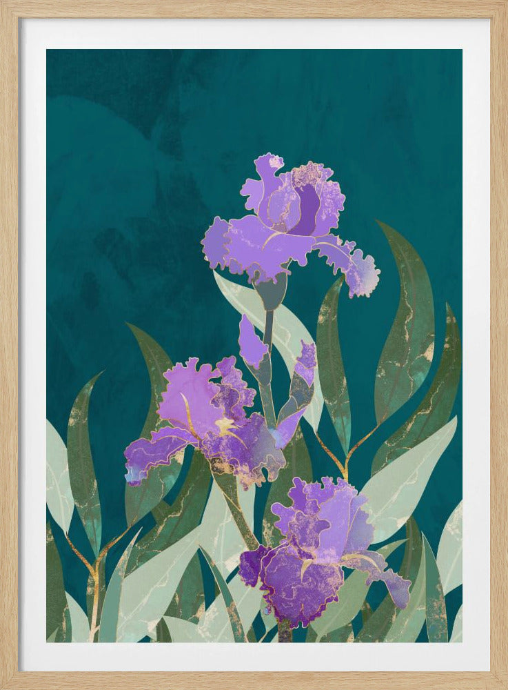 Irisblume Türkis | Poster