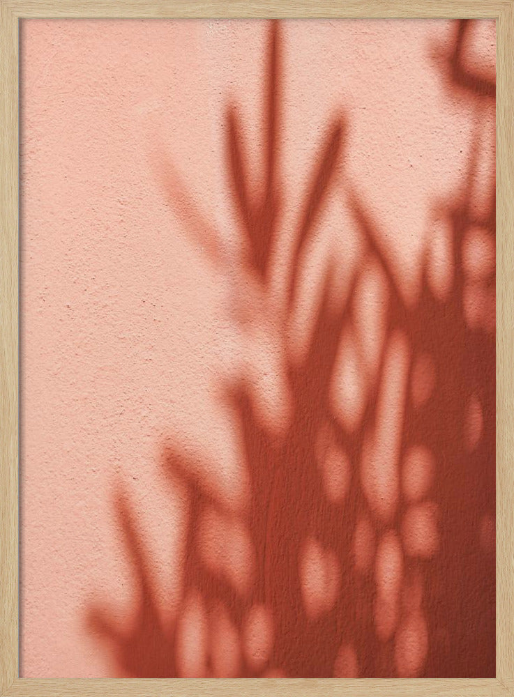 Shadows | Poster
