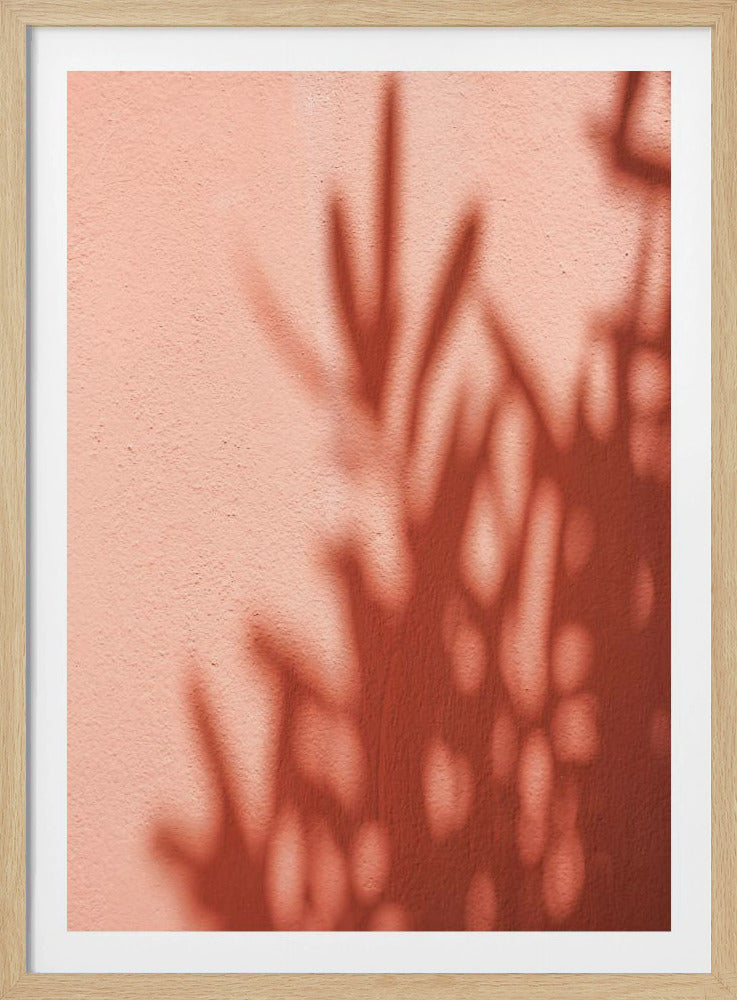 Shadows | Poster