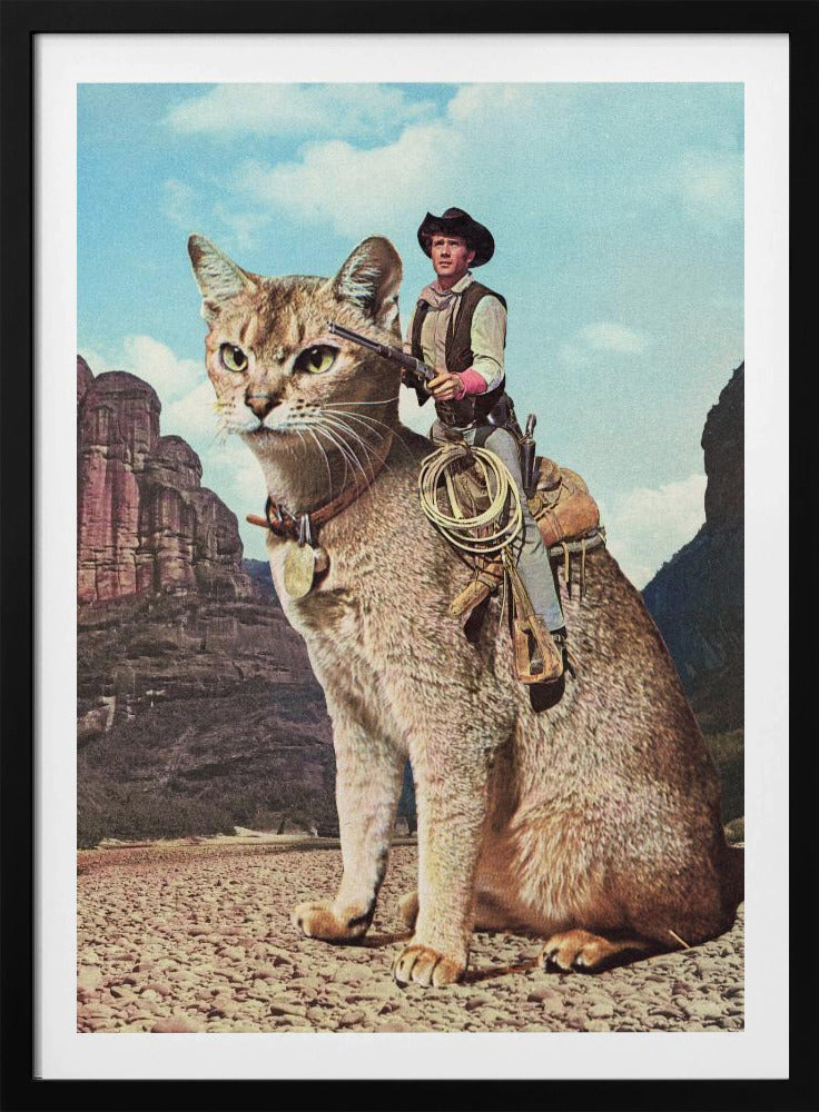 Katze Lone Ranger | Poster