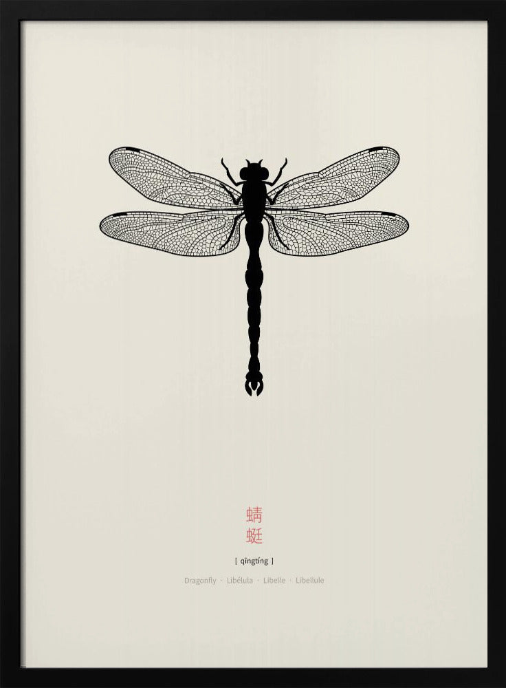 Libelle | Poster