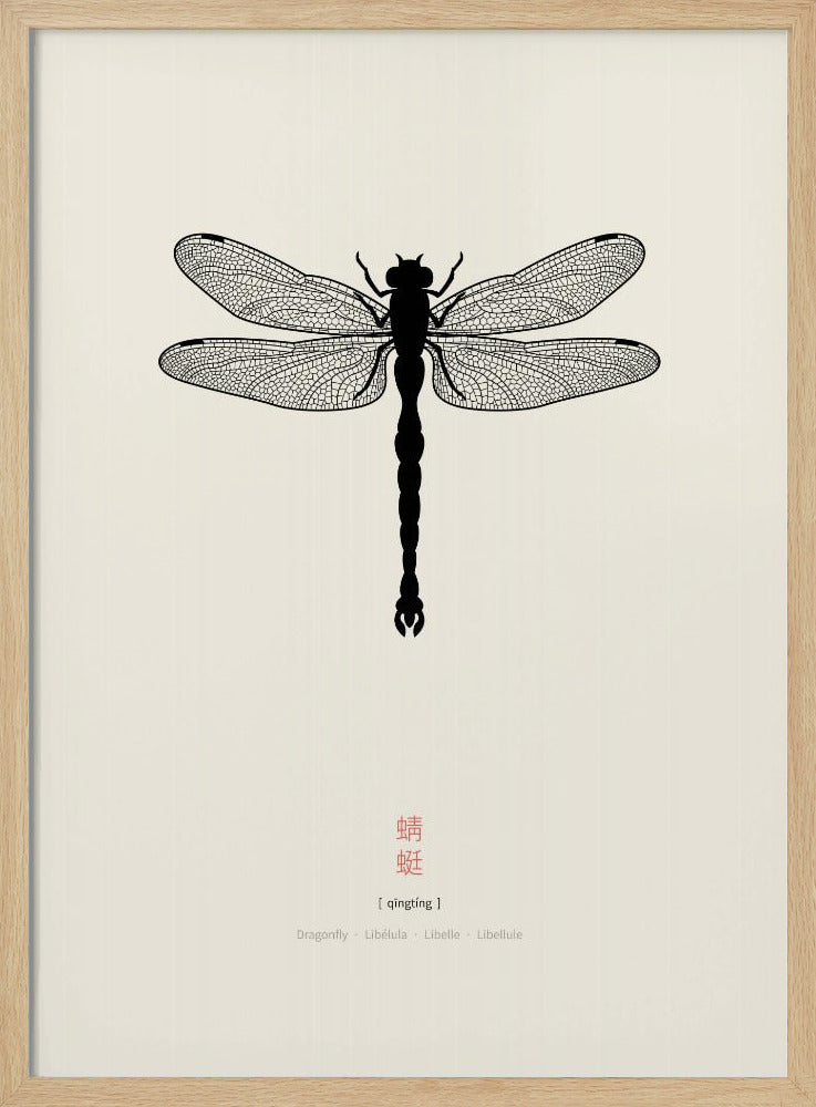 Libelle | Poster