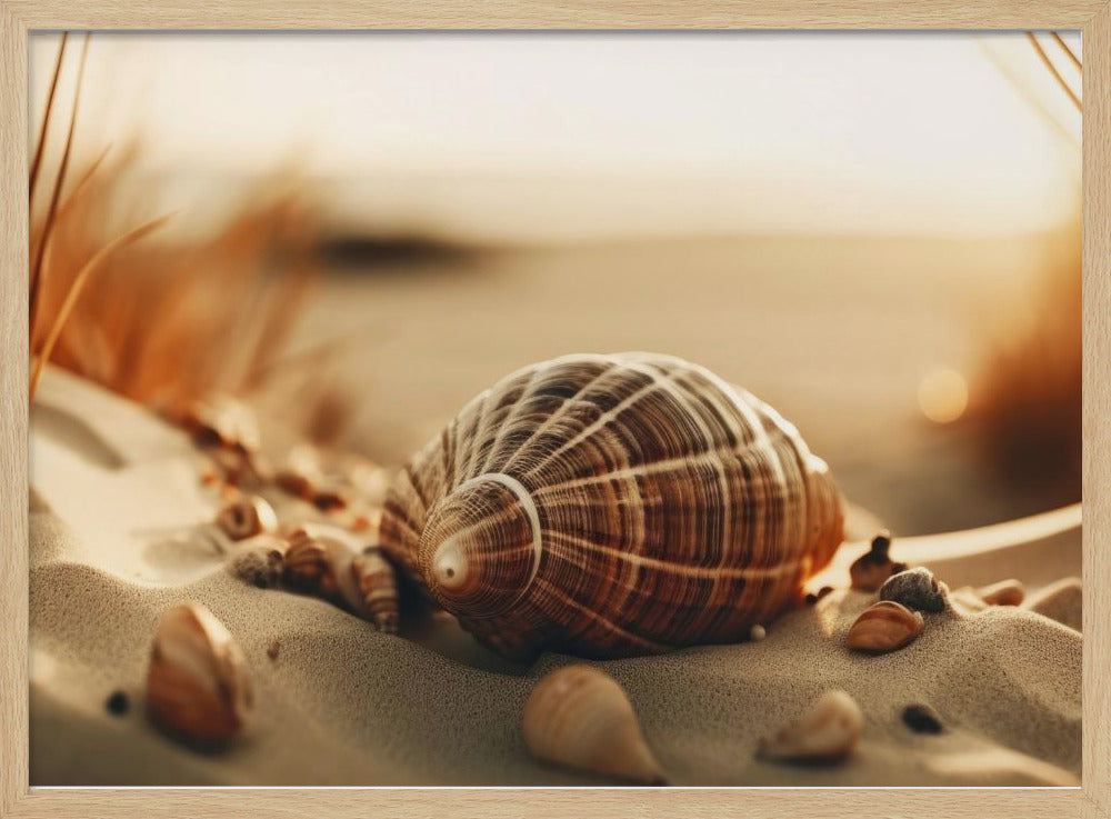 Dunes' Stille Muscheln | Poster