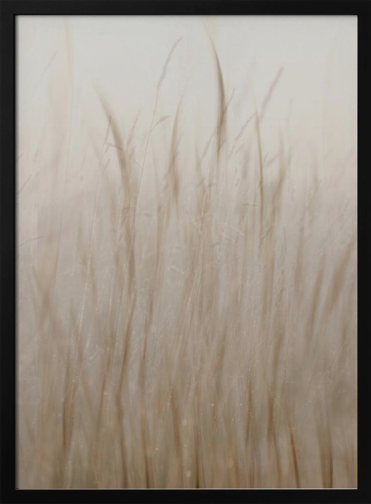 Wiesengras | Poster