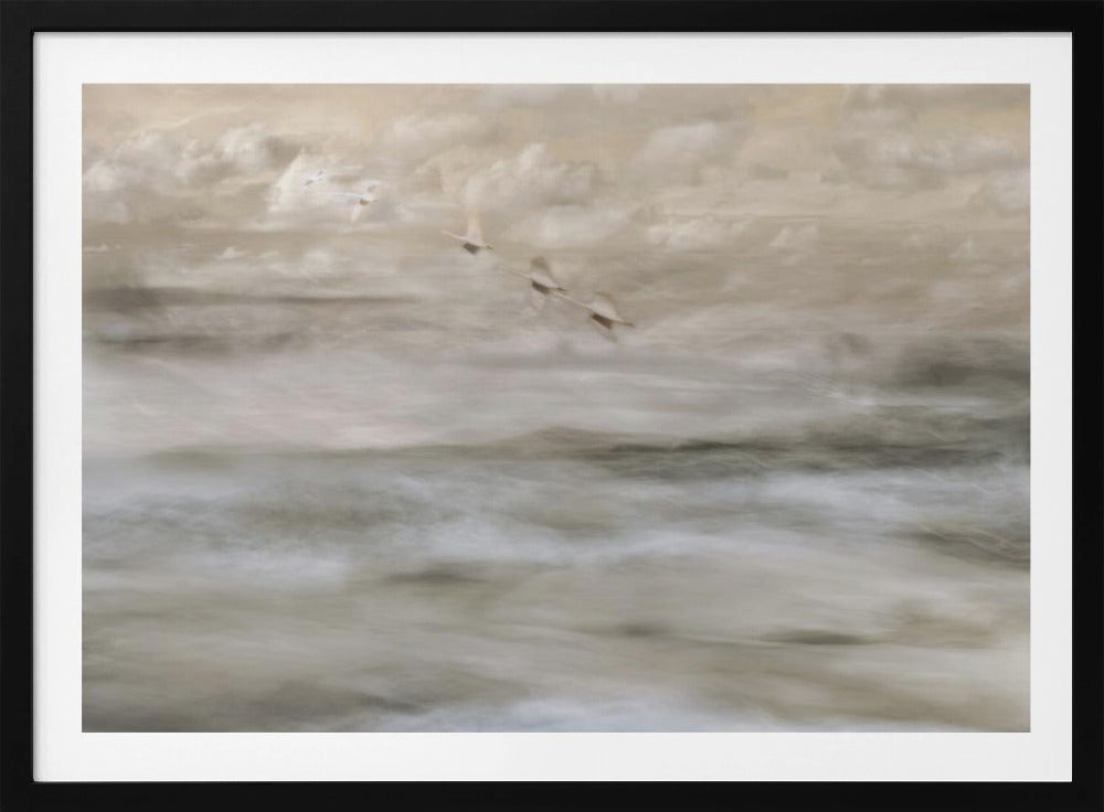 Schwäne über dem Meer | Poster