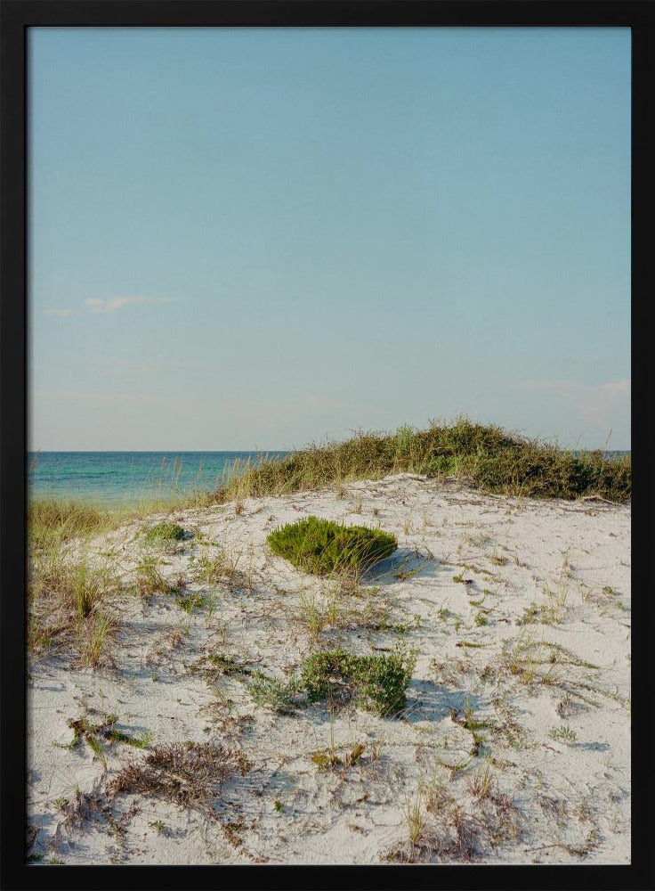 30a Dünen II | Poster