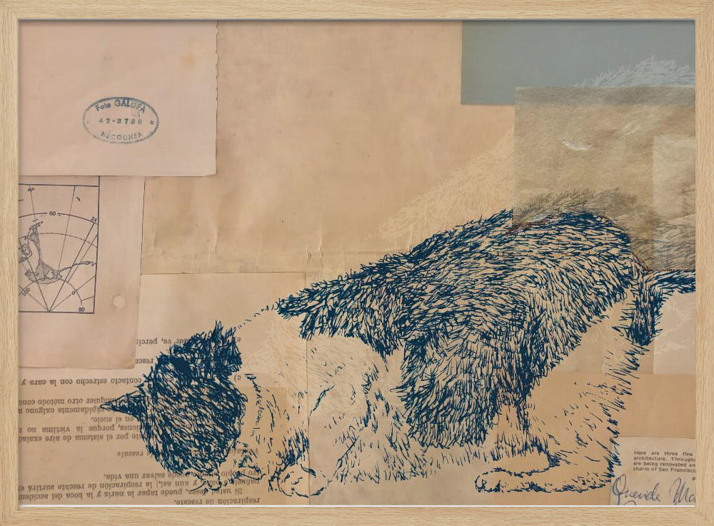 Neugierige Katzencollage | Poster