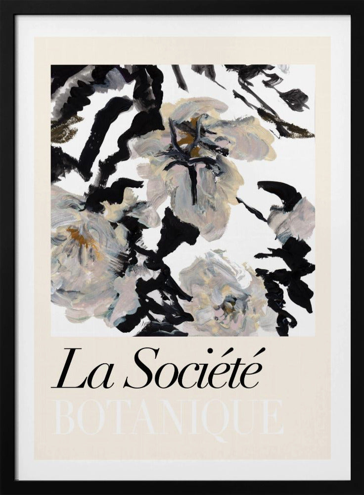 La Société Botanique Schwarze und weiße und cremefarbene Blumen 2 | Poster