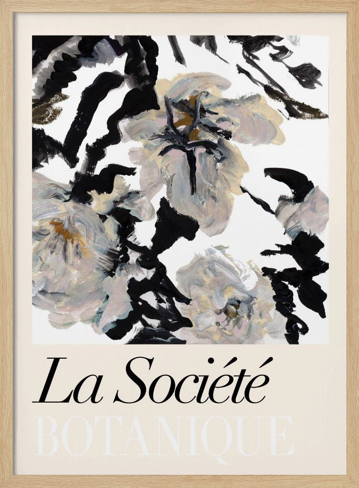 La Société Botanique Schwarze und weiße und cremefarbene Blumen 2 | Poster