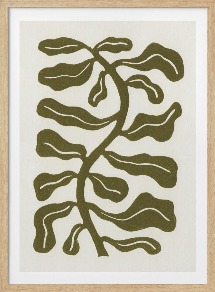 Windgeküsste Pflanze / Olivgrün | Poster