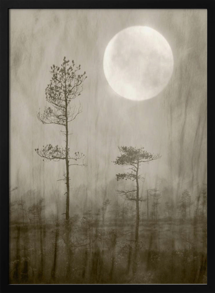 Mondscheinmoor | Poster