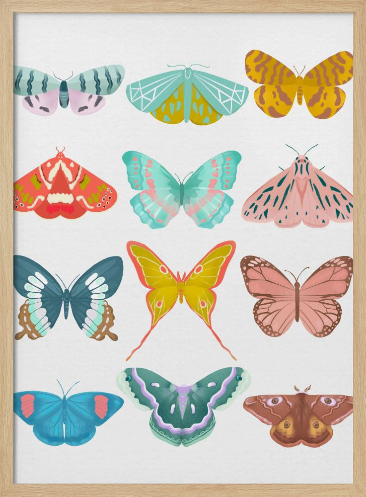 Schmetterling | Poster