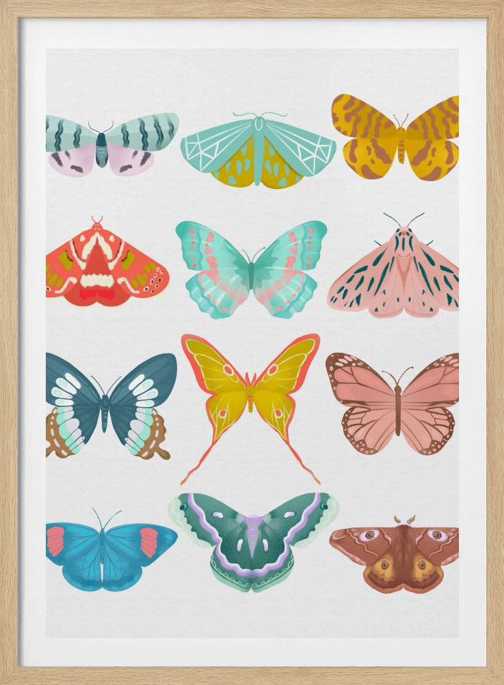 Schmetterling | Poster