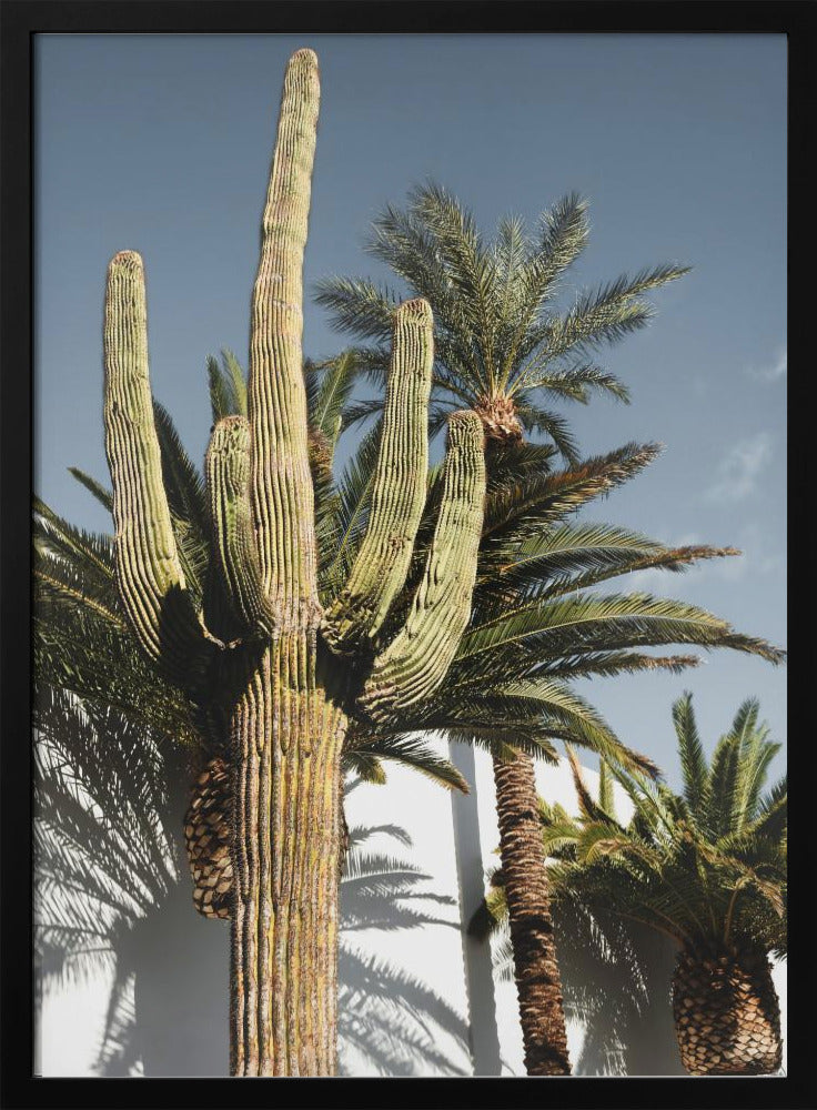 Kaktus Las Vegas | Poster
