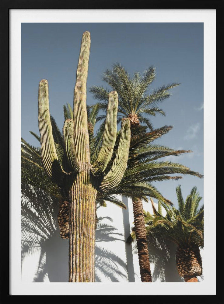 Kaktus Las Vegas | Poster